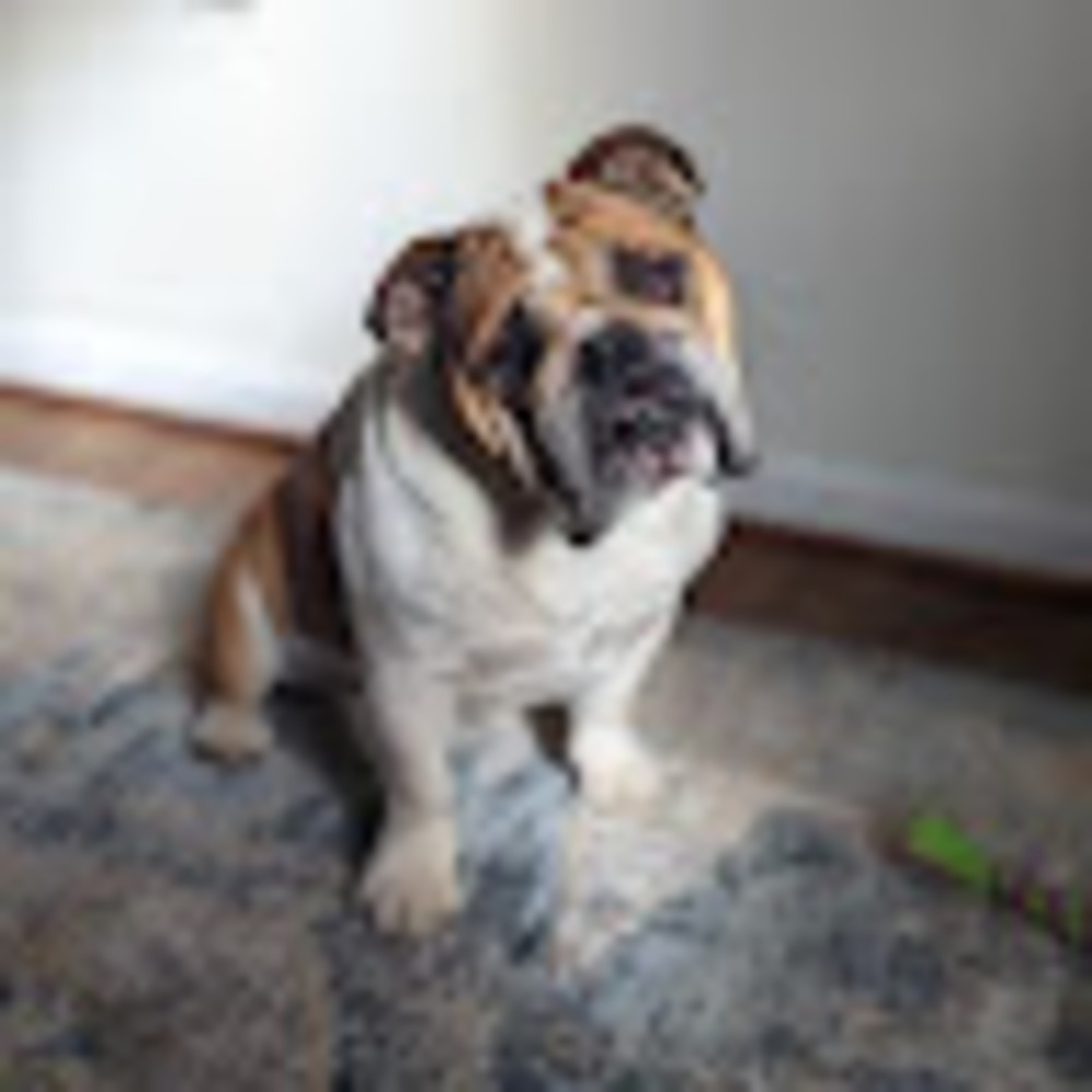 Meet your Posher, Alicia